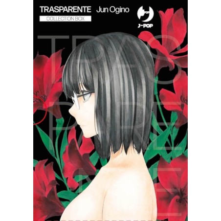  TRASPARENTE BOX (1-4)