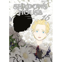 Shadows house 15