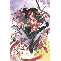 DEADPOOL/BATMAN - VARIANT MOMOKO