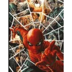 AMAZING SPIDERMAN 883 VAR BERMEJO