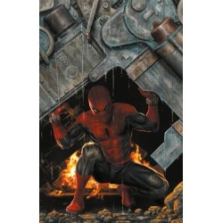 SPIDER-MAN 886 VISION VARIANT BERMEJO