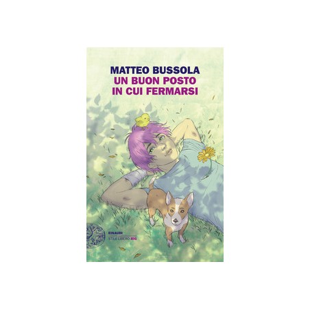 UN BUON POSTO IN CUI FERMARSI - MATTEO BUSSOLA
