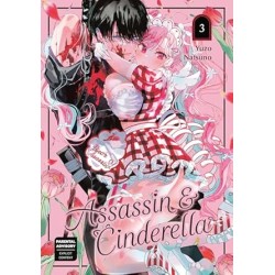 ASSASSIN & CINDERELLA 3